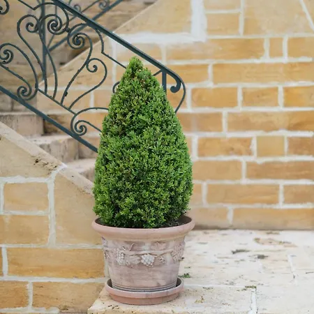 Chateau Forge Du Roy Mauzens-et-Miremont