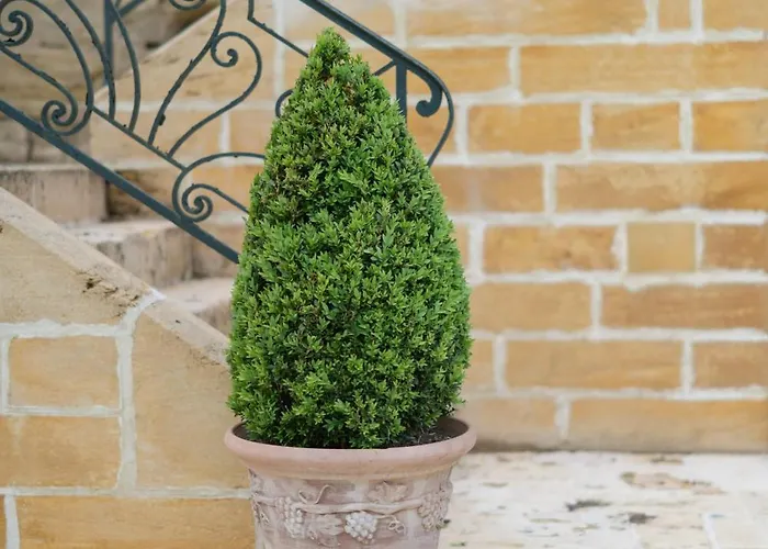 Chateau Forge Du Roy Mauzens-et-Miremont