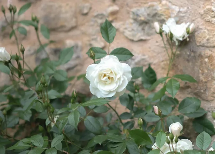 Βίλα Chateau Forge Du Roy *