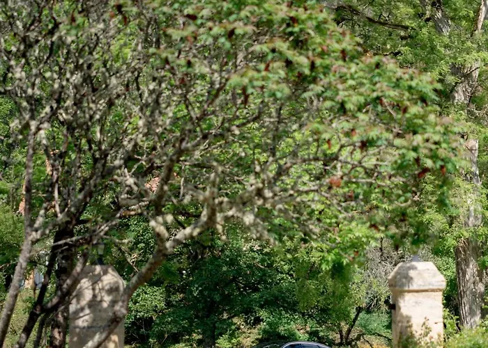 Chateau Forge Du Roy * Mauzens-et-Miremont